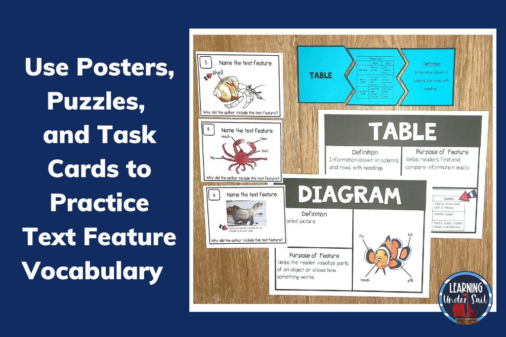 Picture of text feature task cards, puzzle cards and posters