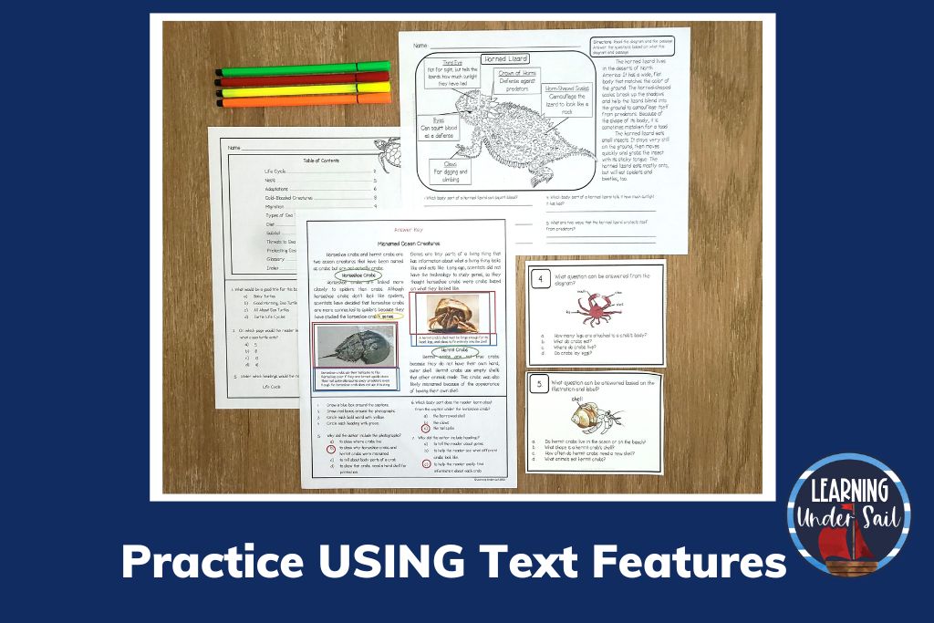 Picture of passages with text features and text features task cards. 